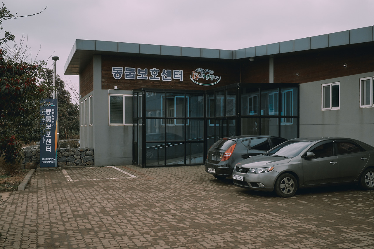 유기동물보호센터 전송.jpg