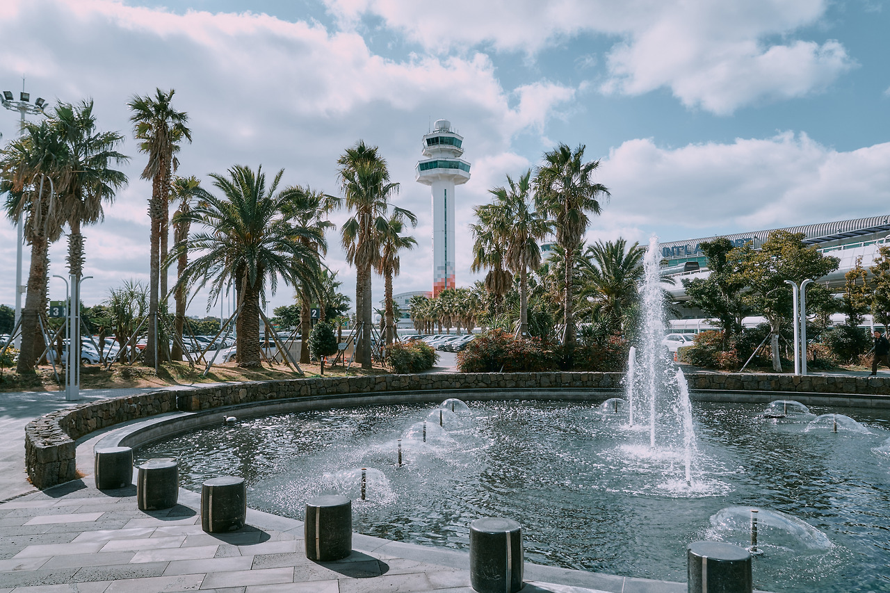 공항, 야자수 2.jpg