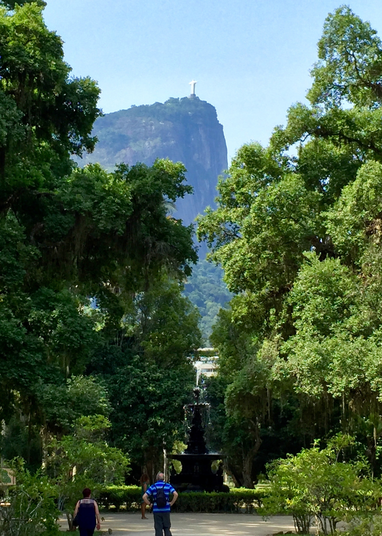 자징 보타니쿠.jpg