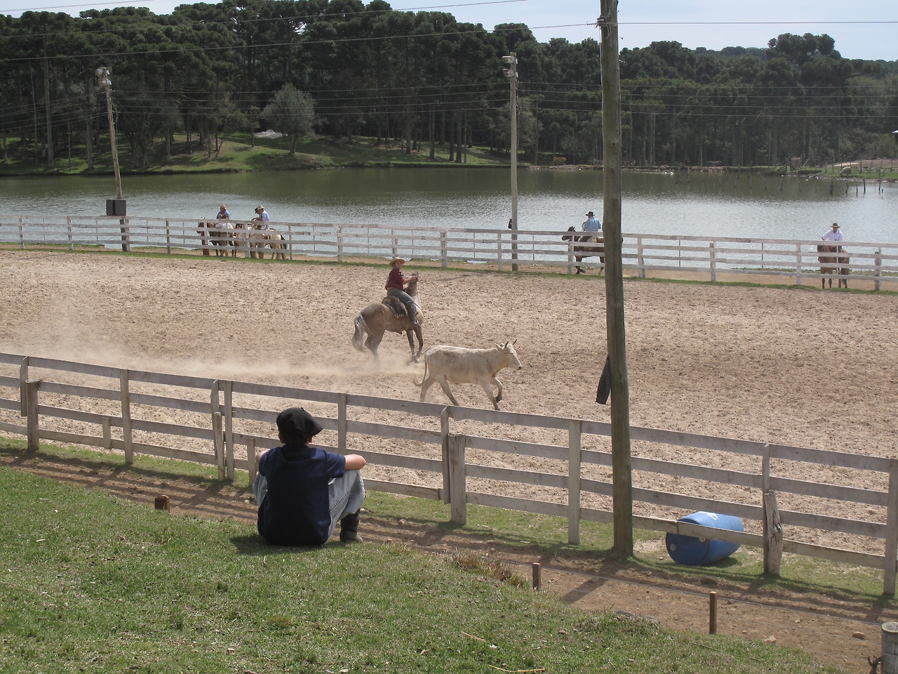 미래의 가우슈.jpg
