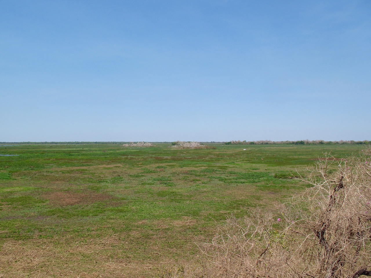 건기의 판따나우.jpg