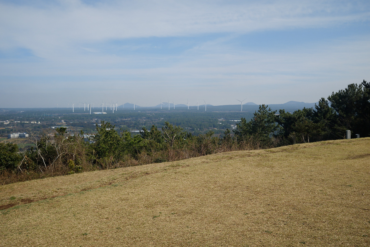 DSCF89303 05 2021777.jpg