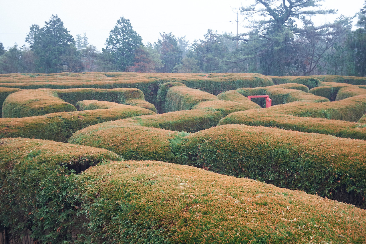 DSCF85143 04 2021598.jpg