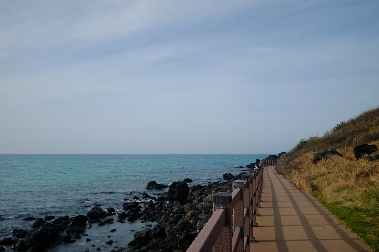 DSCF89793 05 2021795.jpg