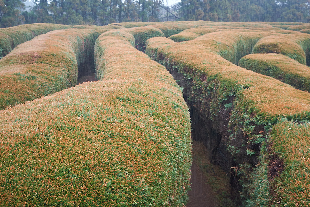 DSCF85133 04 2021597.jpg