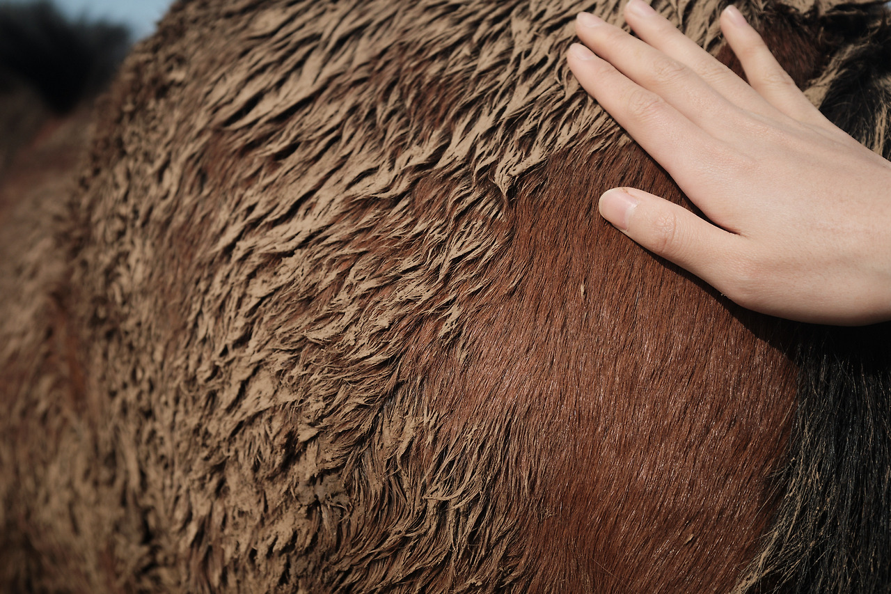 DSCF89533 05 2021785.jpg