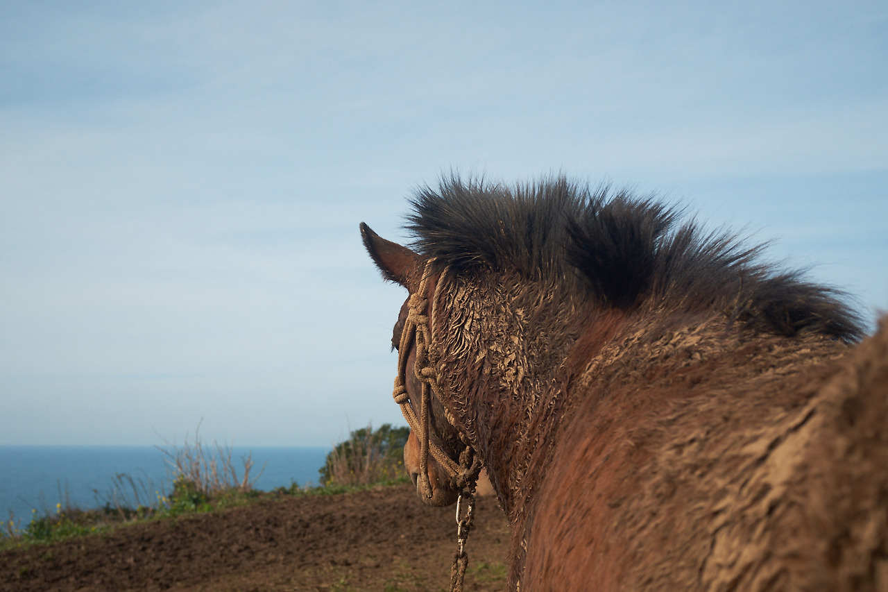 DSCF89523 05 20217843 05 2021904.jpg