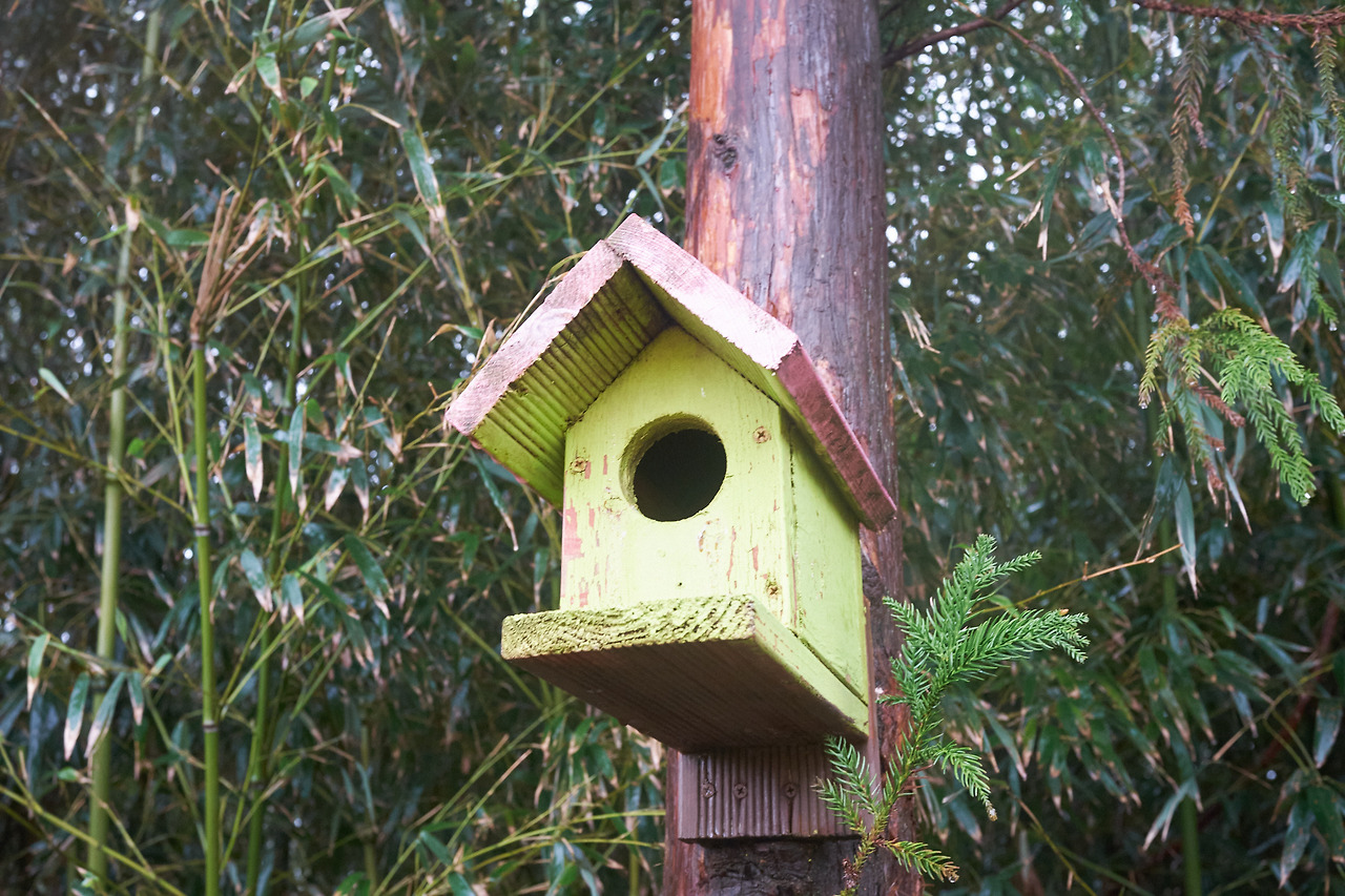 DSCF84653 04 2021584.jpg