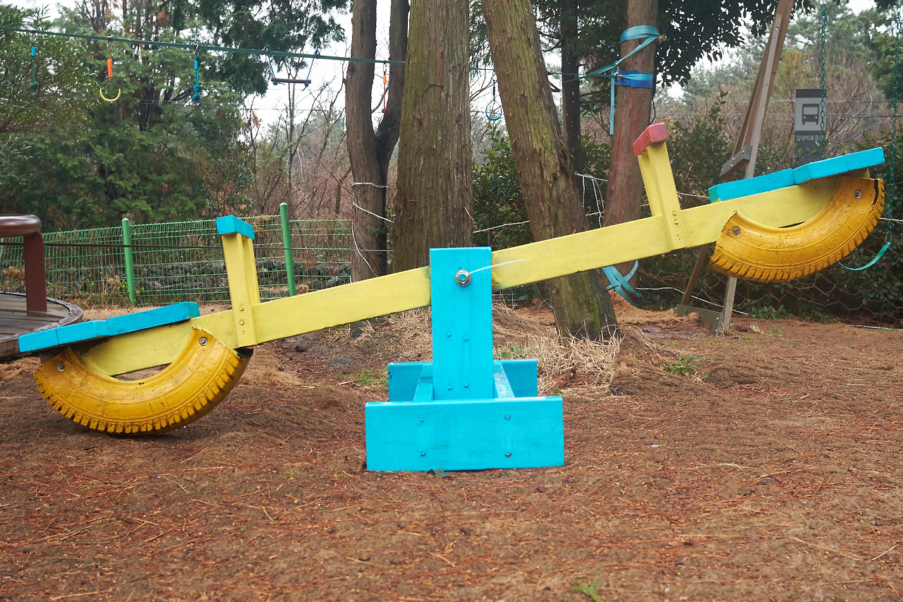 DSCF84633 04 2021583.jpg