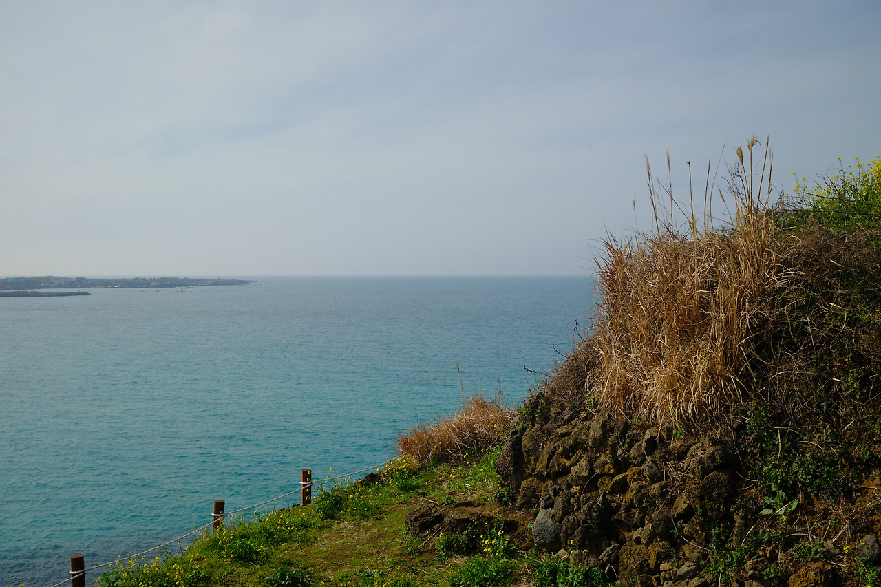 DSCF89723 05 2021793.jpg