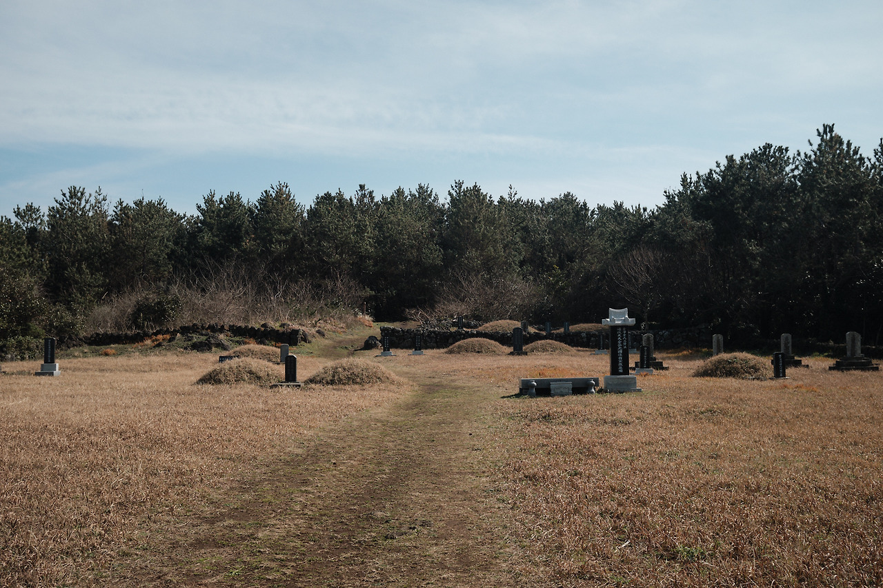 DSCF89283 05 2021776.jpg