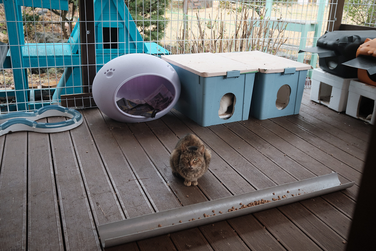 DSCF84553 04 2021580.jpg