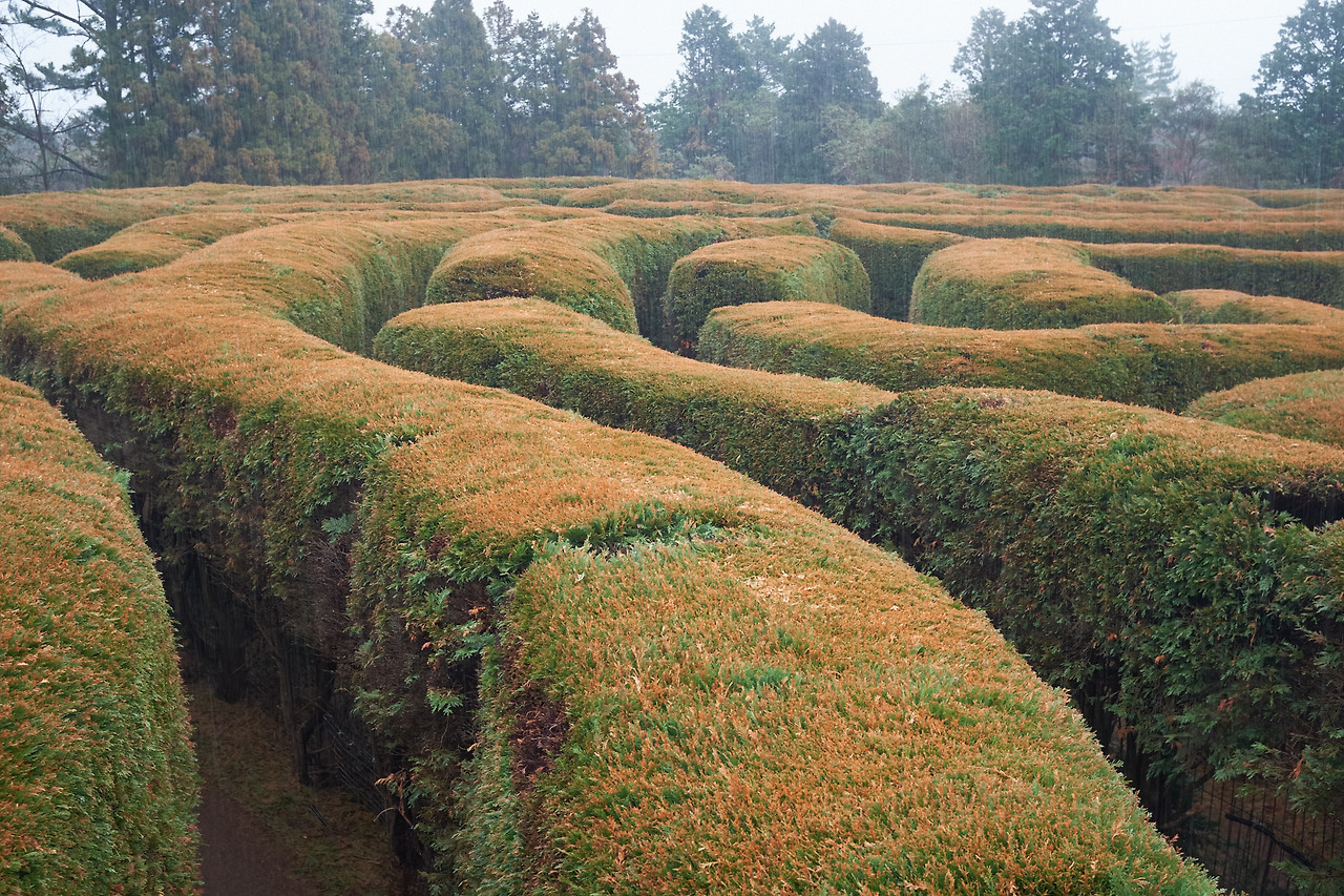 DSCF85113 04 2021596.jpg