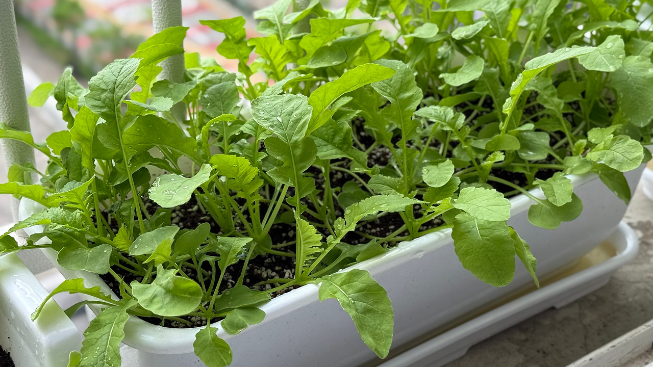 IMG_7939 복사.jpg