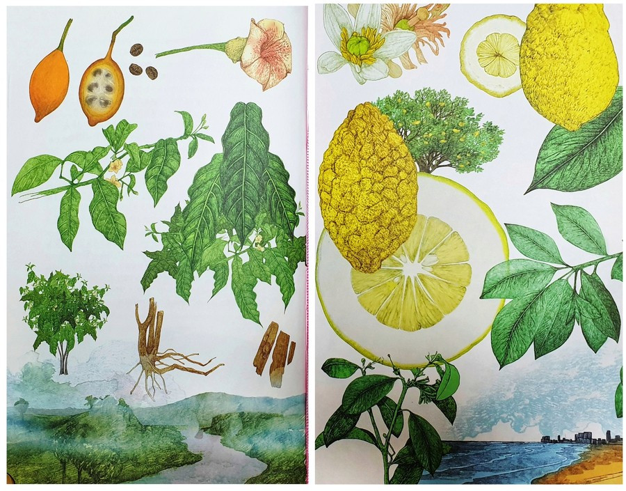 Polish_20210715_205304541 (1).jpg