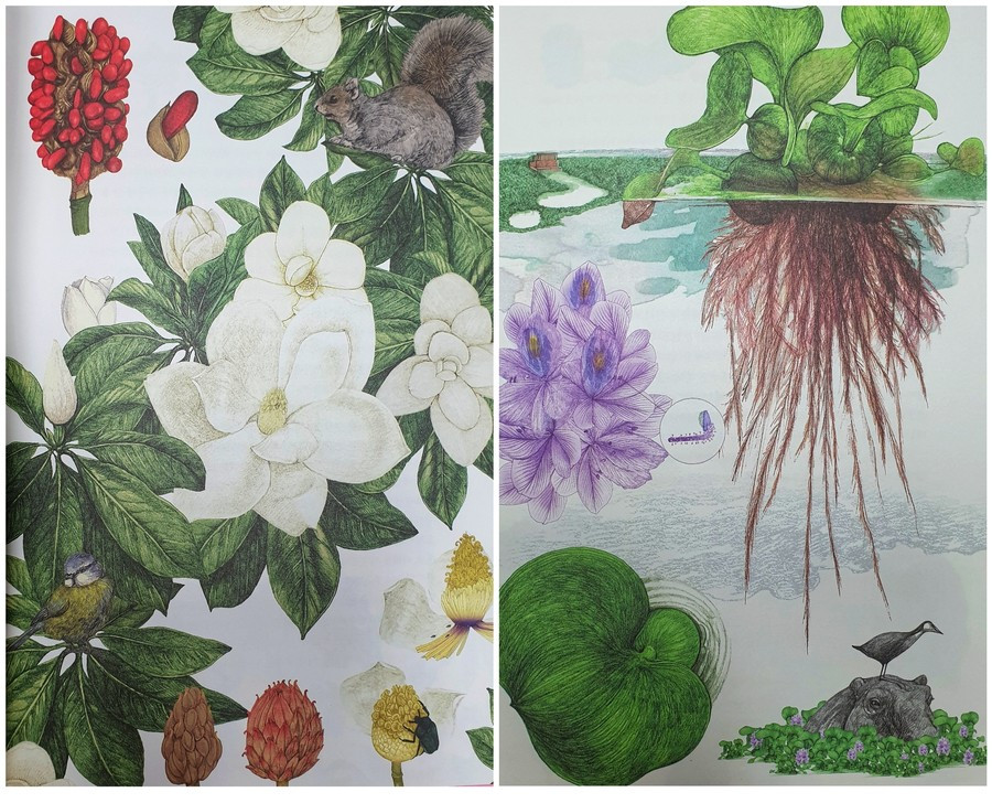 Polish_20210715_202015360 (1).jpg