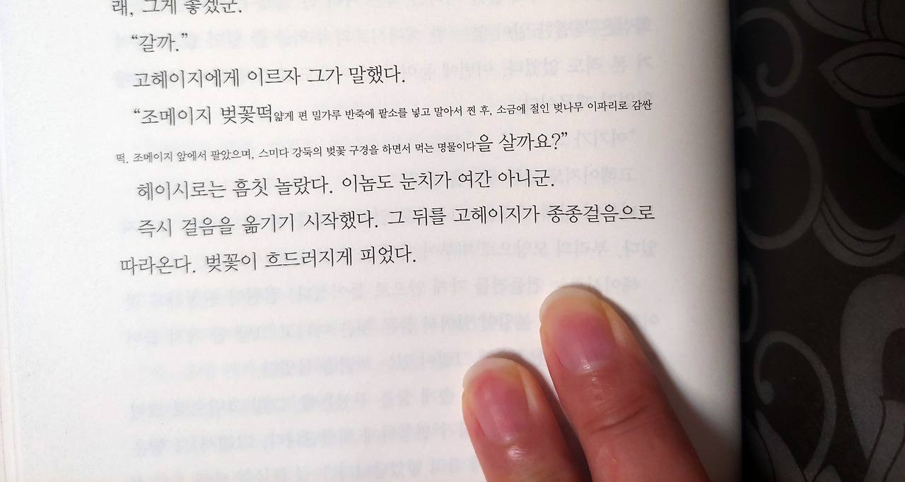 03_cropped EV up.jpg