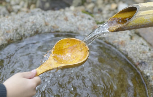 20170307112635449_0 (1).jpg