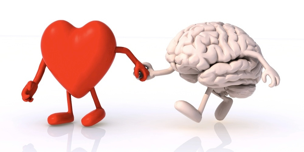 heart-and-brain.jpg