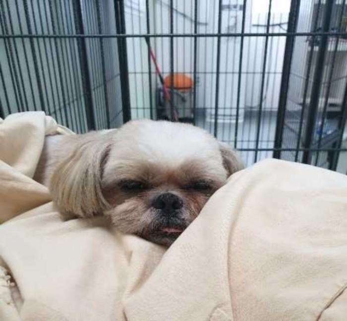thumb-20191230214348_6a1df67c7858c0ea38d85dce6f8ff9a3_rzb0_700x648.jpg