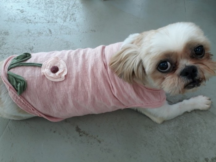 thumb-20191230214347_6a1df67c7858c0ea38d85dce6f8ff9a3_az80_700x525.jpg