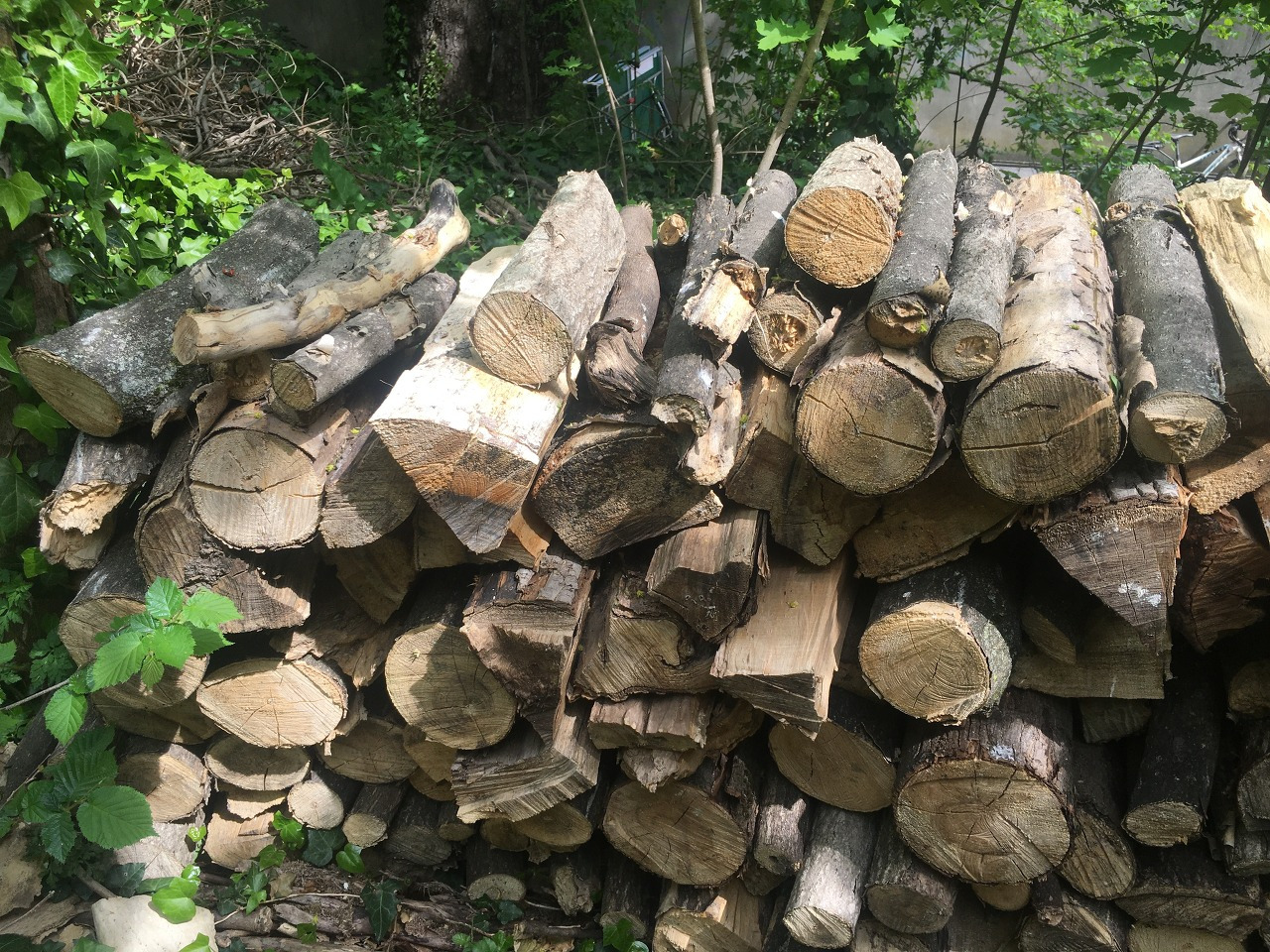 빠스칼 장작더미.jpg