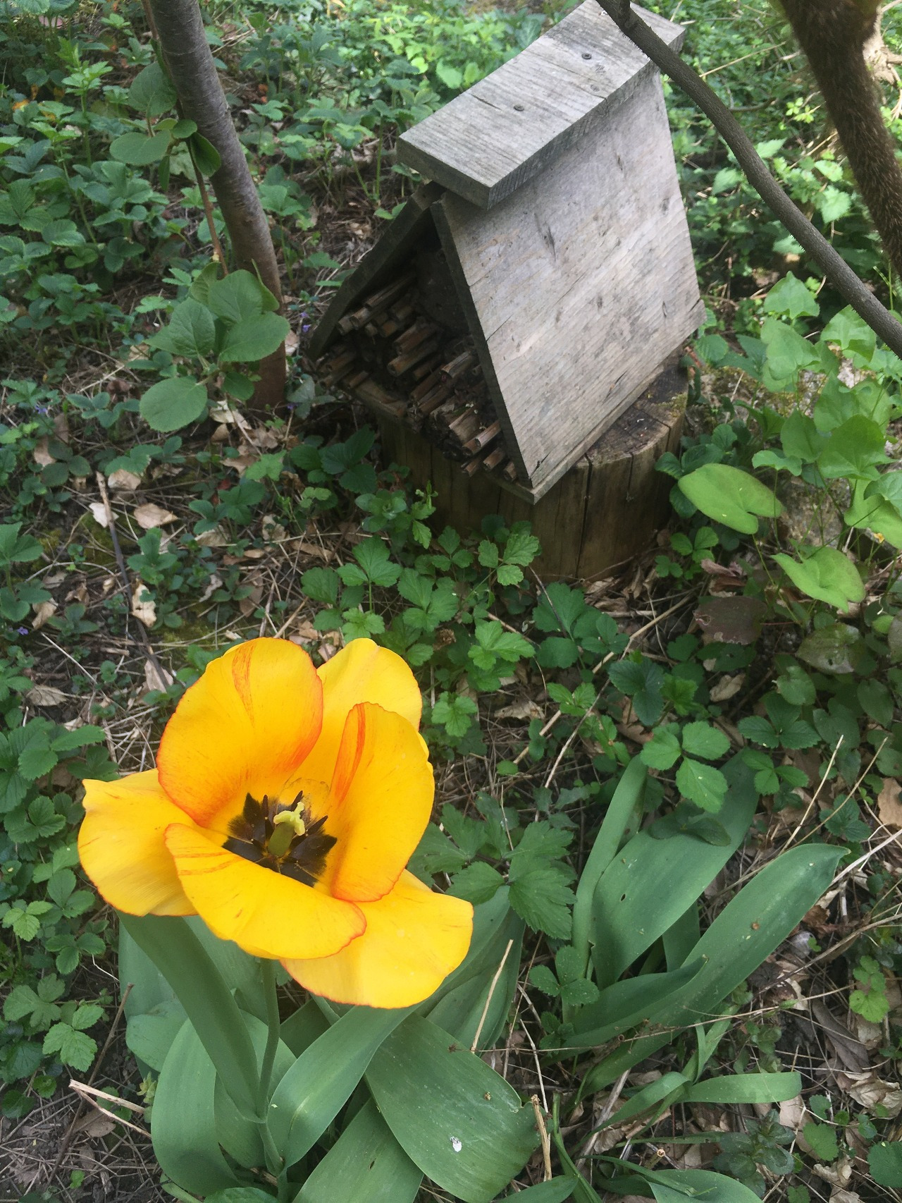 빠스칼 정원.jpg