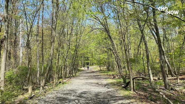 IMG_1881.00_00_47_06.스틸 006.jpg