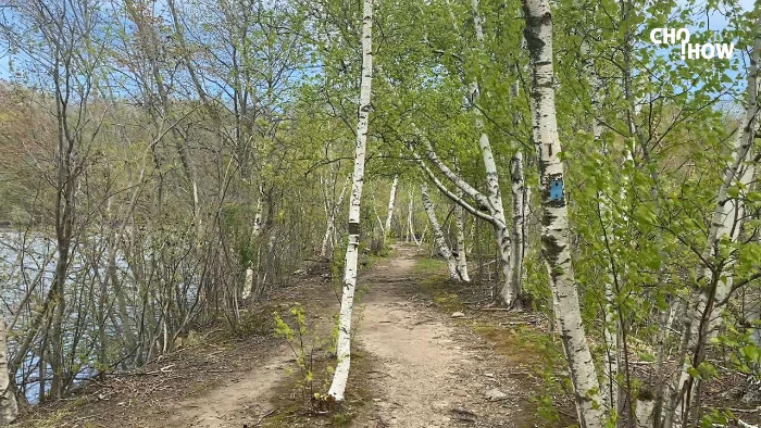 IMG_1881.00_03_48_15.스틸 017.jpg