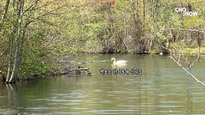 IMG_1881.00_02_29_11.스틸 014.jpg