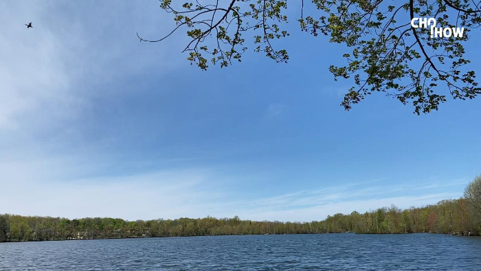 IMG_1881.00_01_11_22.스틸 009.jpg