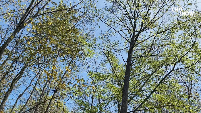 IMG_1881.00_01_52_23.스틸 012.jpg