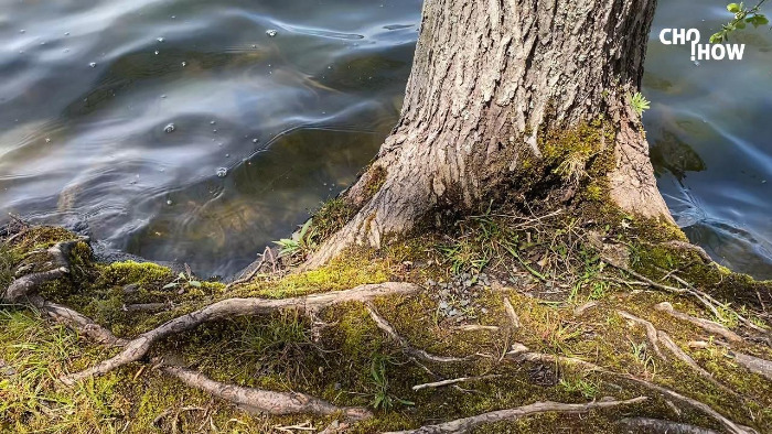 IMG_1881.00_01_23_08.스틸 010.jpg