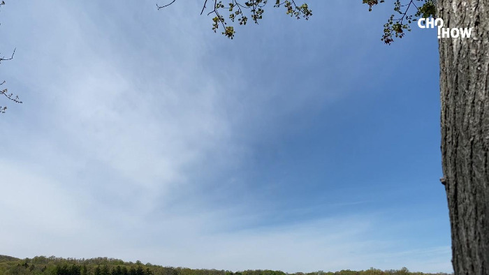 IMG_1881.00_01_32_05.스틸 011.jpg