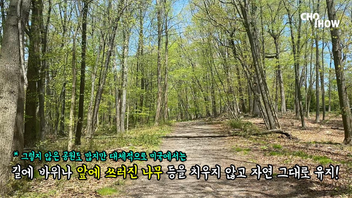 IMG_1881.00_02_10_02.스틸 013.jpg