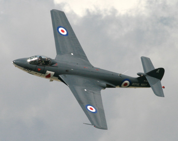 Airvectors_Hawker Sea Hawk.jpg