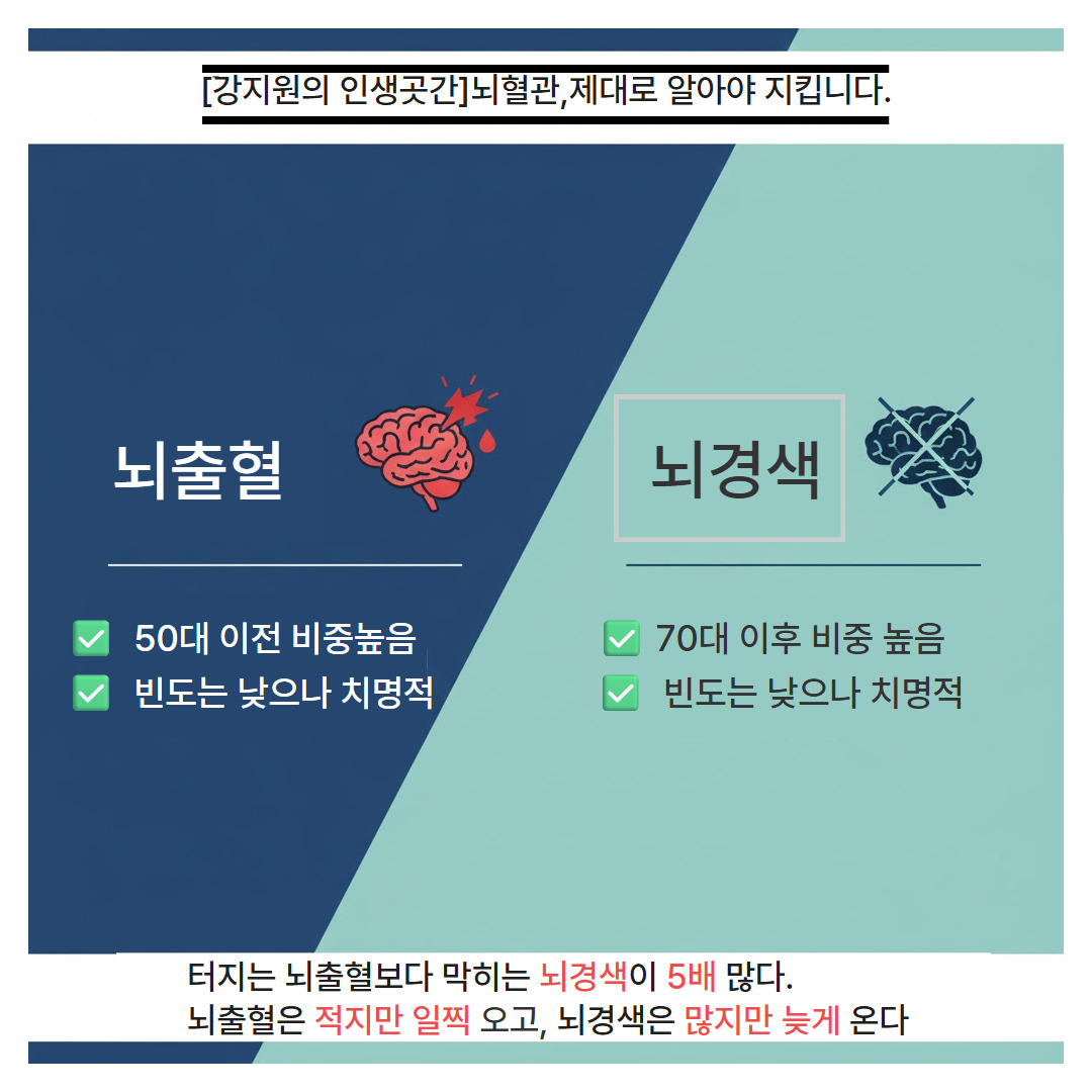 제목을 입력하세요.jpg