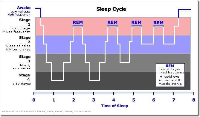 sleep cycle.jpg