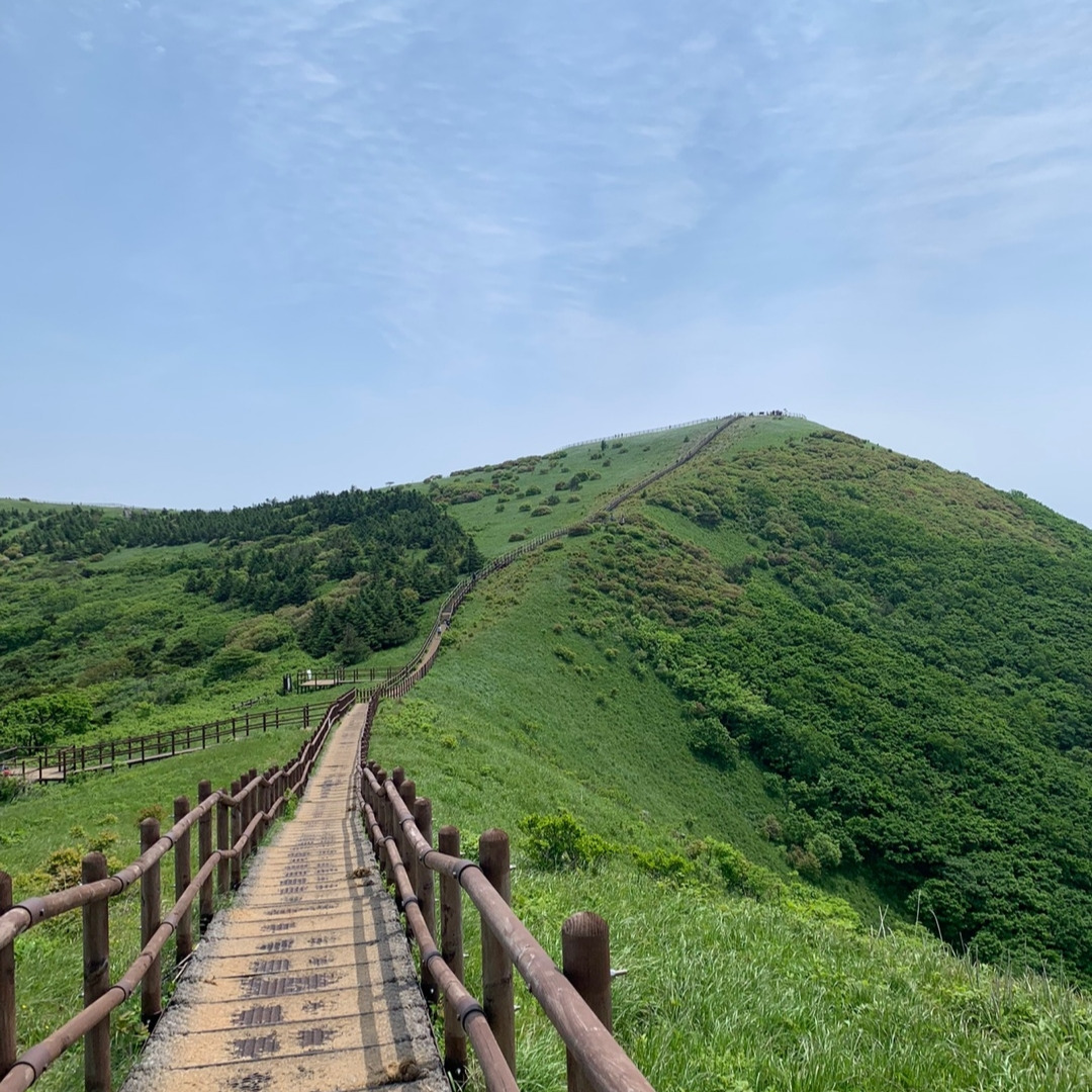 소백산 비로봉 가는 길.jpg