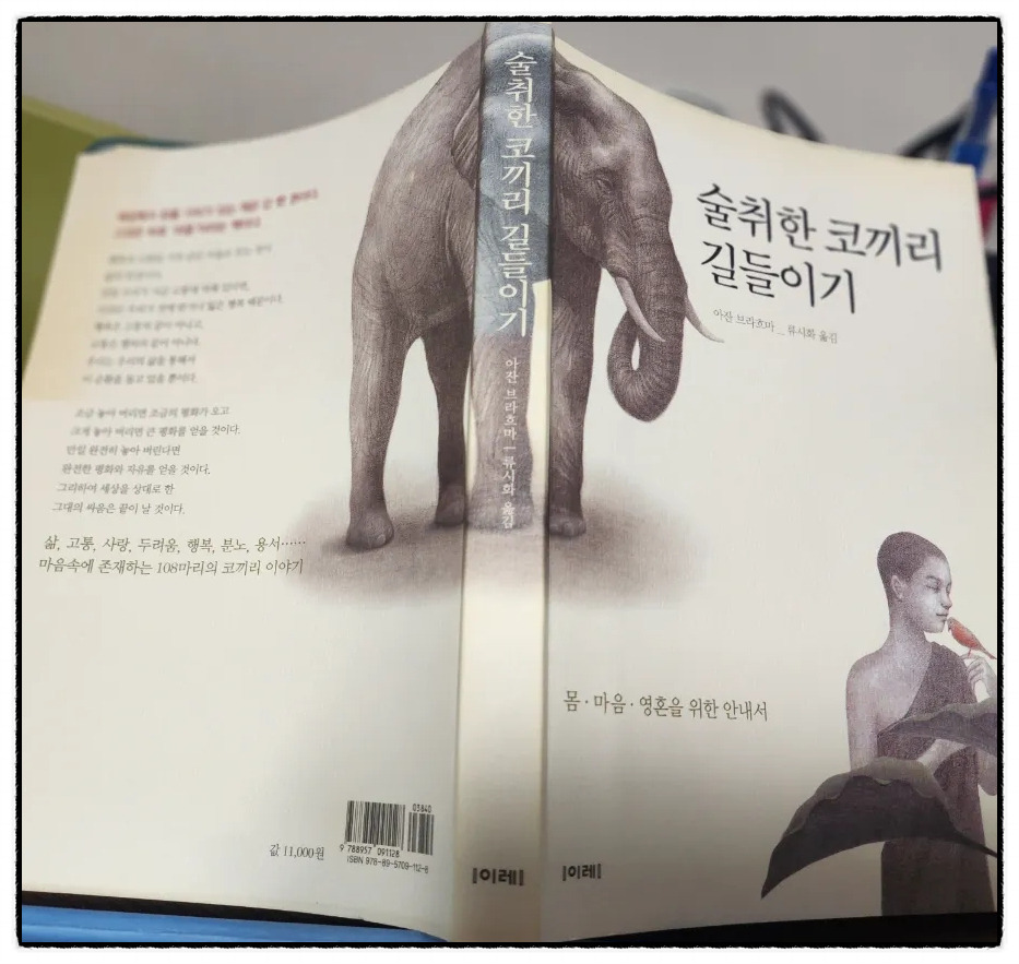 온라인 카지노 게임