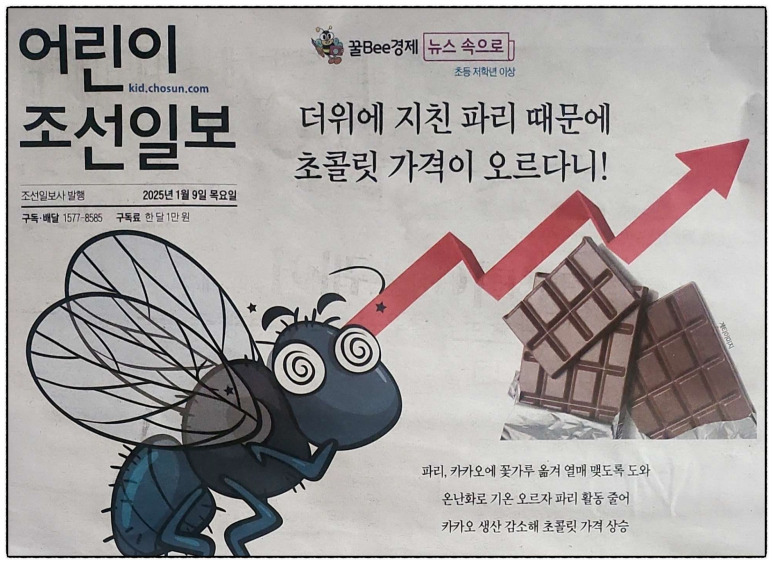 온라인 카지노 게임