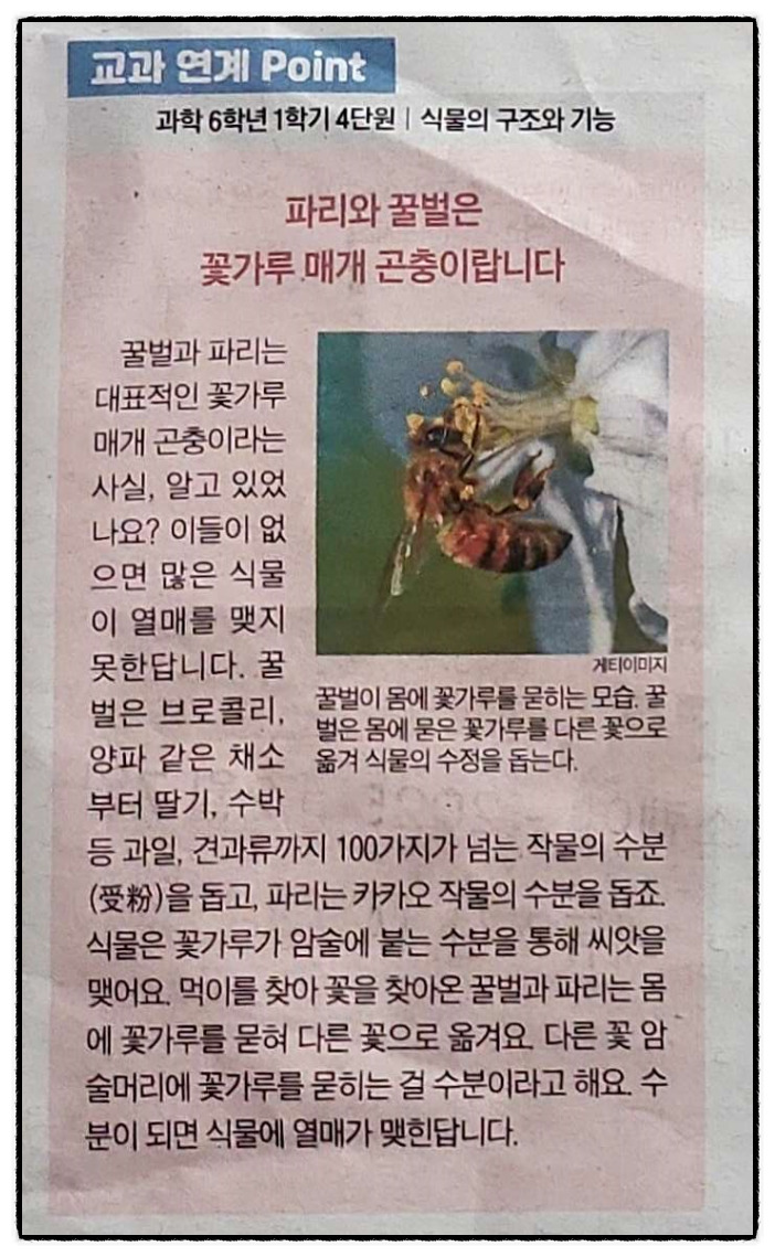 온라인 카지노 게임