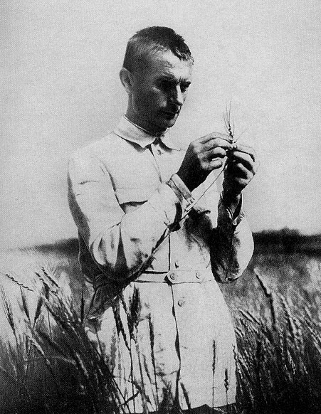 Lysenko_in_field_with_wheat.jpg
