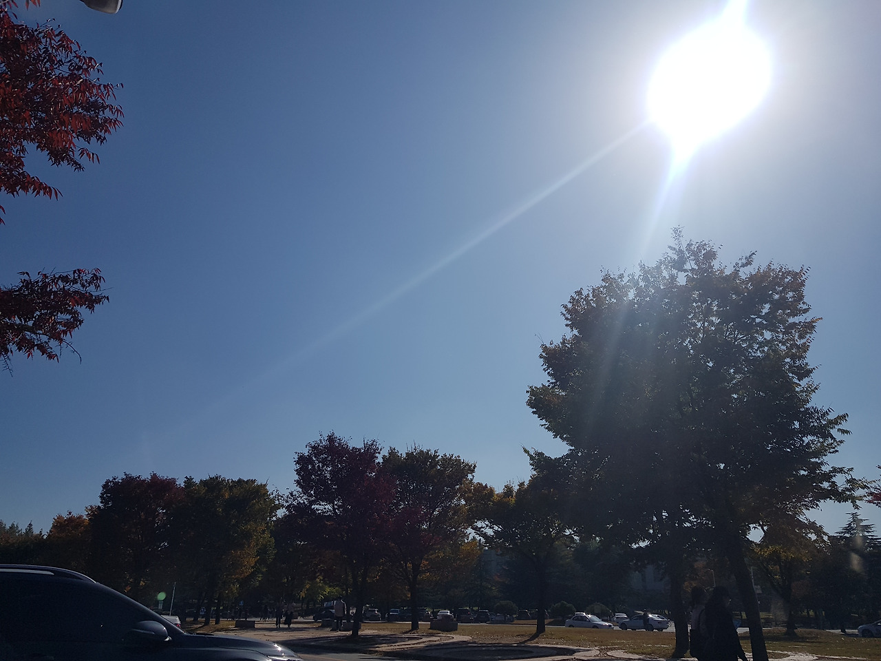 2018-10-24 13.22.30.jpg