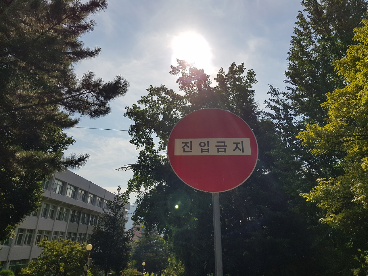 2018-08-21 08.49.16.jpg