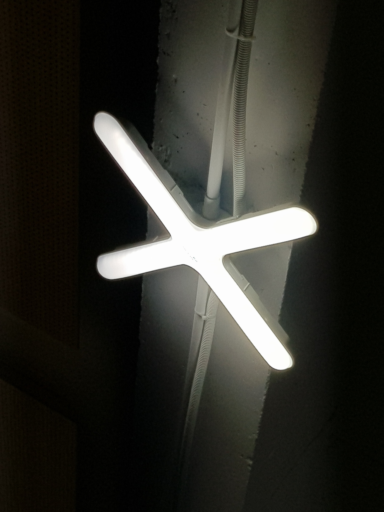 2018-08-10 09.09.15.jpg