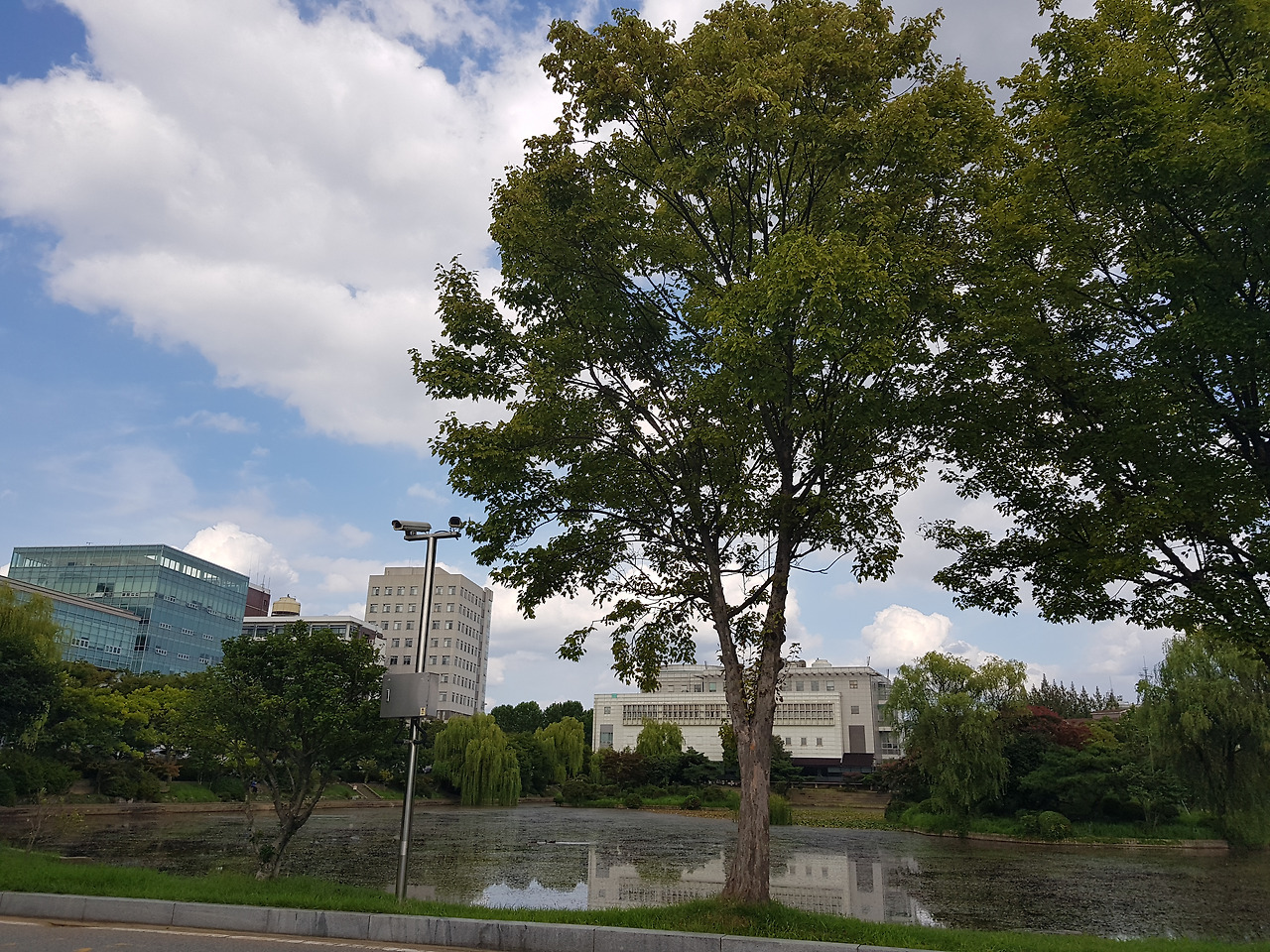 2018-09-12 15.14.01.jpg