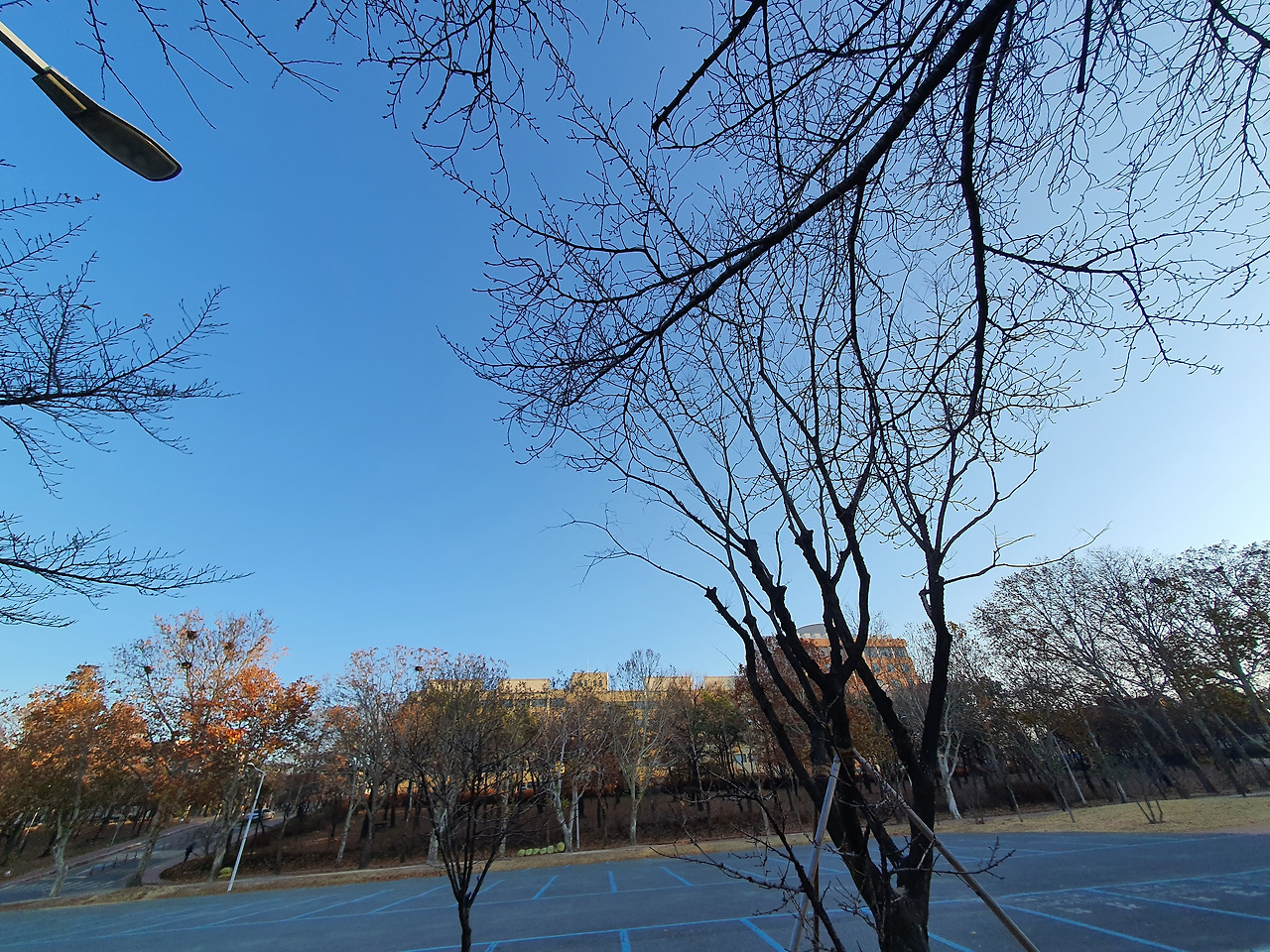 2020-11-25 08.18.43.jpg