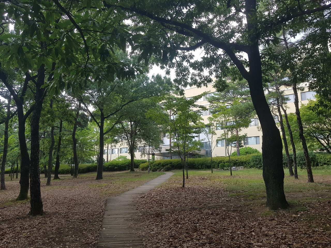 2018-08-03 16.39.46.jpg