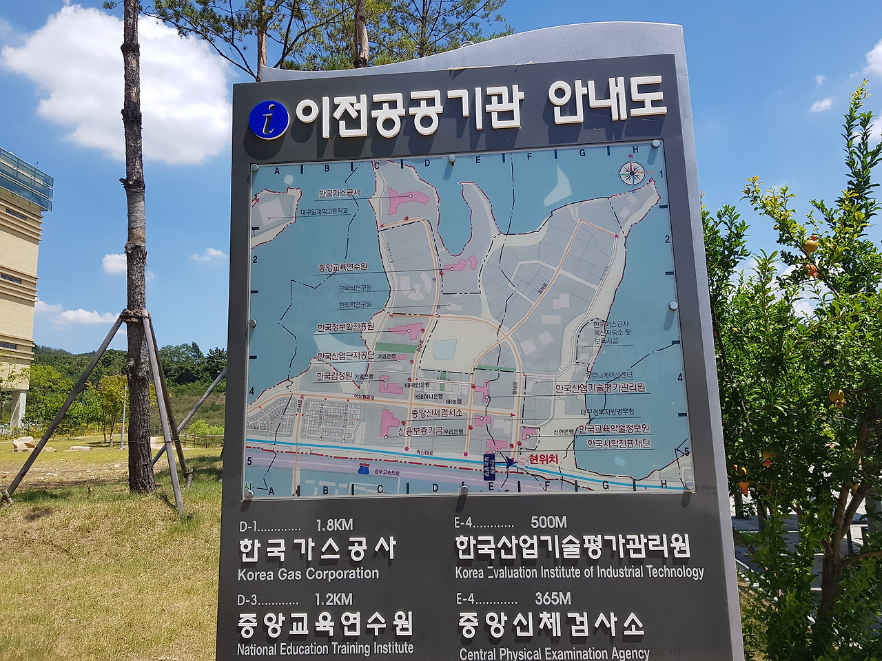 2018-08-01 13.20.13.jpg